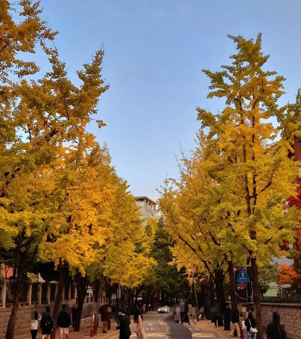 The Jongno Nest, Near Subway Stn, 1 Stop To Palace 0*, סיאול קוריאה הדרומית